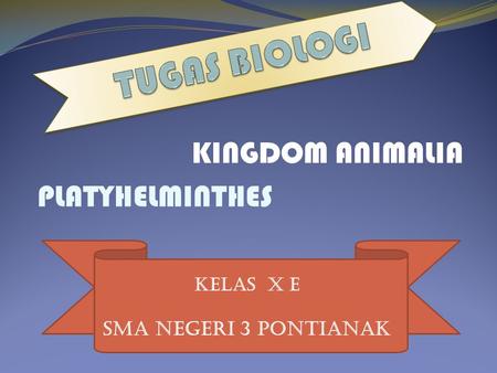 TUGAS BIOLOGI KINGDOM ANIMALIA PLATYHELMINTHES SMA NEGERI 3 PONTIANAK