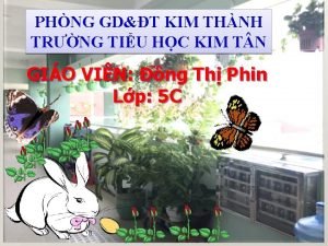 đại từ thay thế