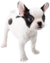 Bulldog_Nintendogs