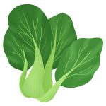 Bok choy