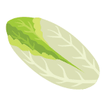 Endive