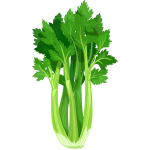 Celery