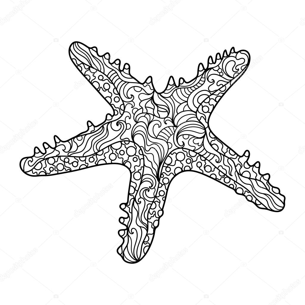 echinoderm coloring pages