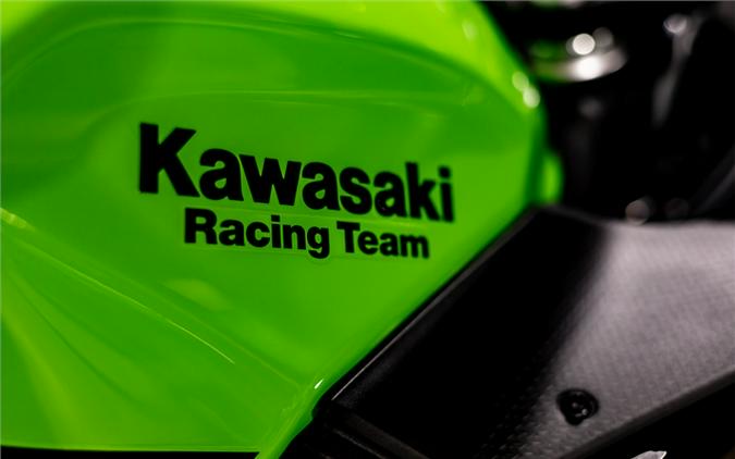 2025 Kawasaki Ninja 500 KRT Edition