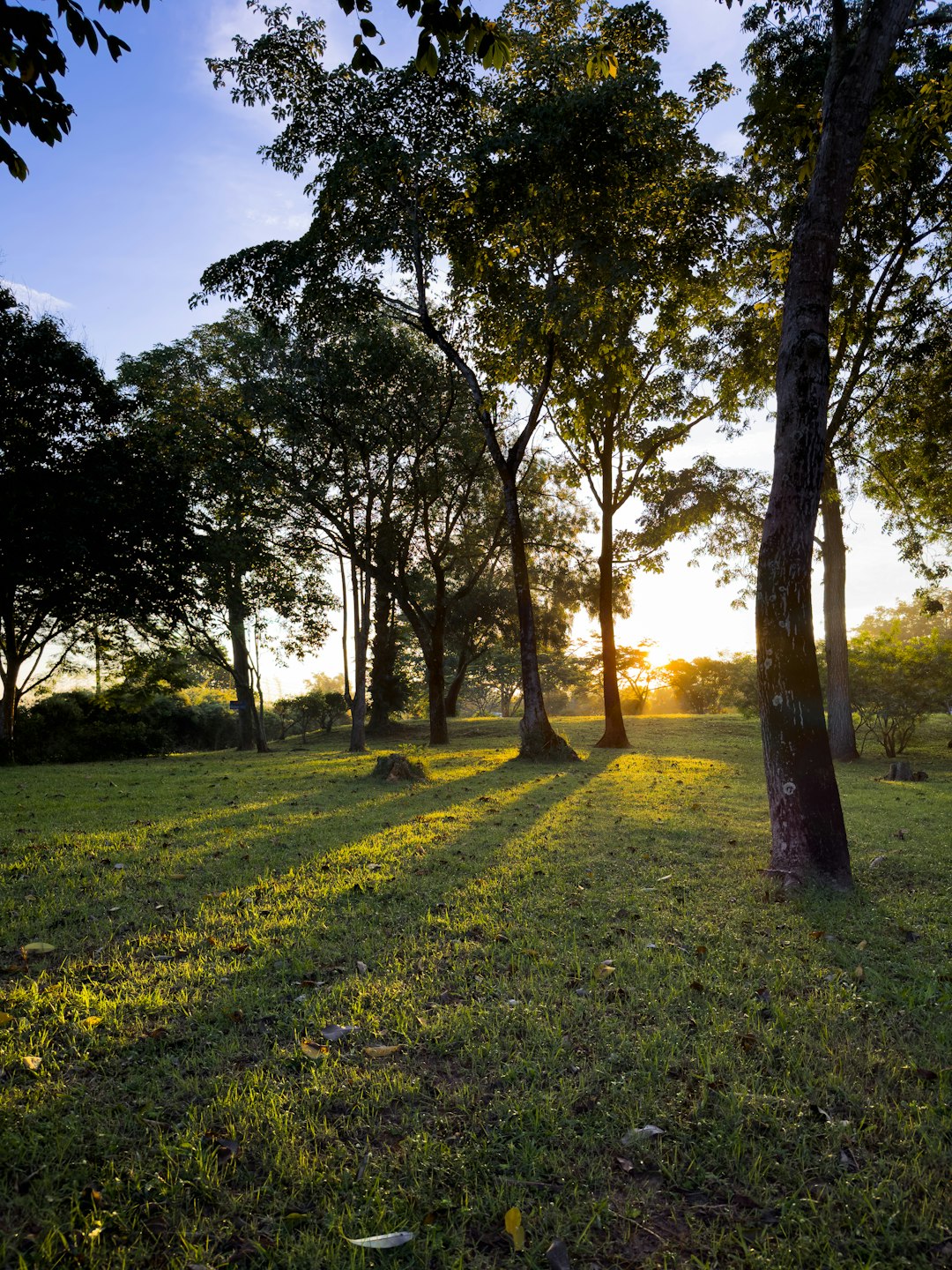 Preparing Your Rural Land available for sale