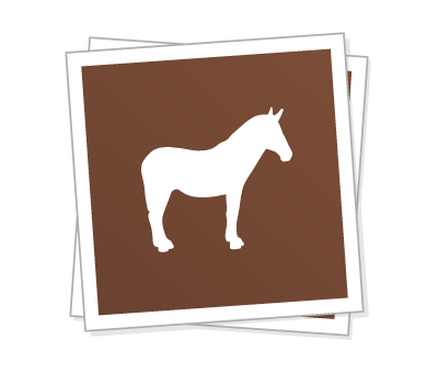 Custom square stickers