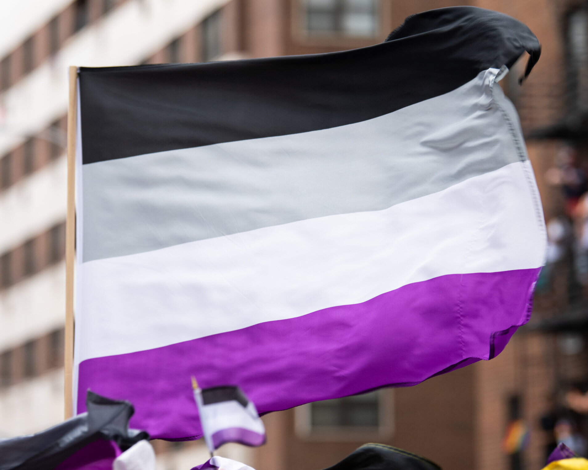 A large asexual flag waving in front of a blurry building.