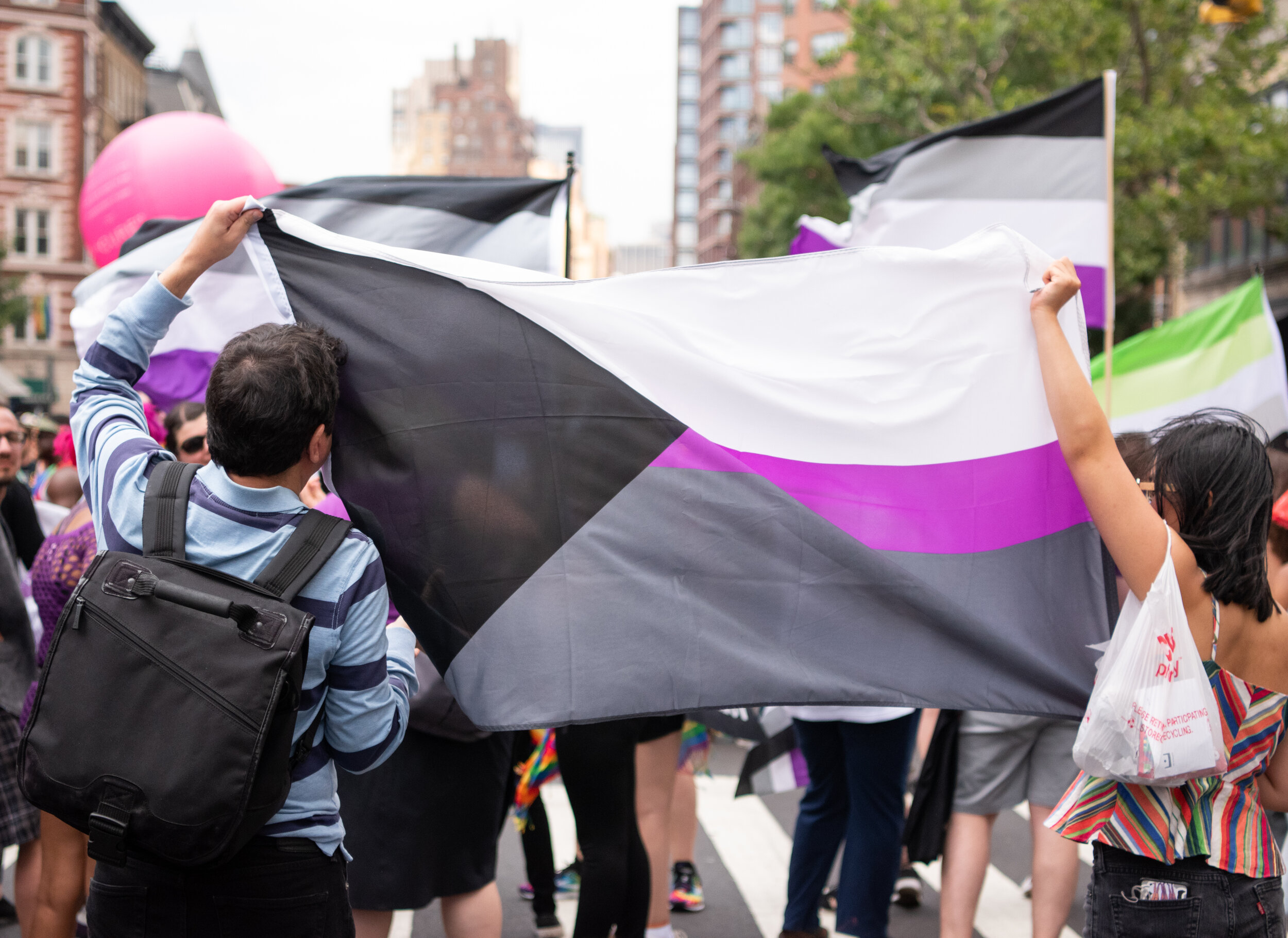 Two brown people holding up a large demisexual flag at a parade. One has short dark hair and the other has shoulder length dark hair.