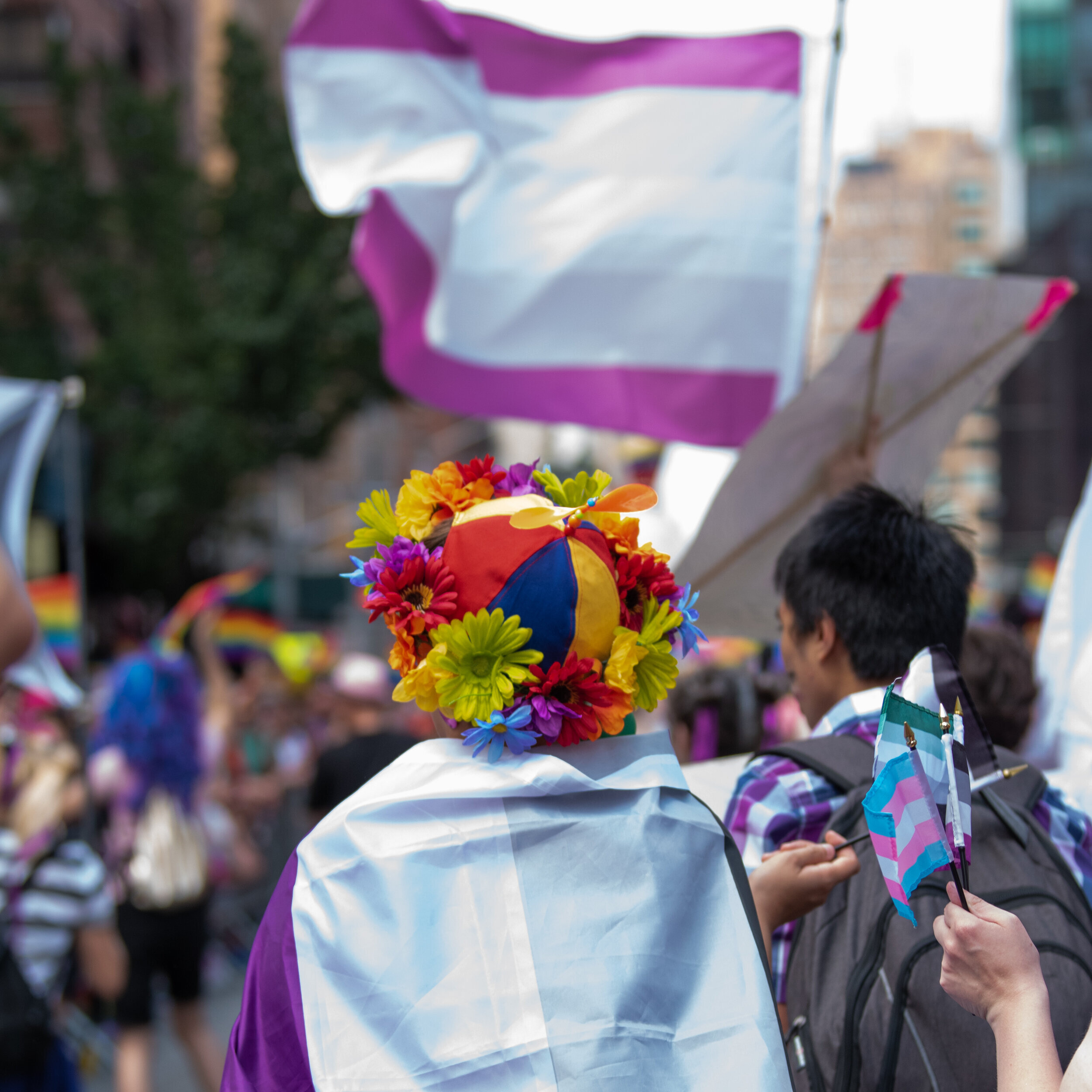 A person with an Ace flag cape and a flower crown. A blurry background shows multiple other people and a large graysexual flag.