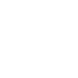 500px icon