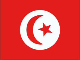 Tunisia icon