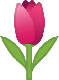 tulip emoji