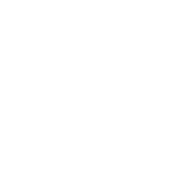 vimeo icon