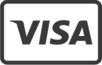 Visa icon