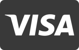 Visa icon