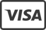 Visa icon