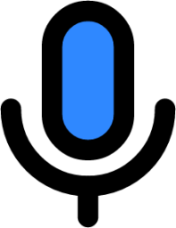 voice icon