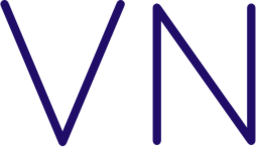 vn logo icon