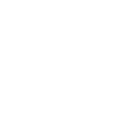 warning icon