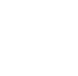 amex icon