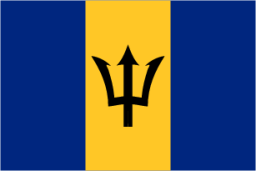 bb flag icon