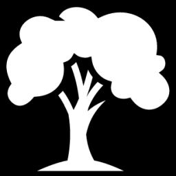 beech icon