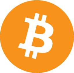 bitcoin icon