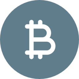 Bitcoin icon