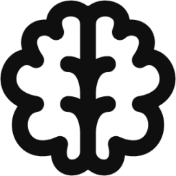 brain icon