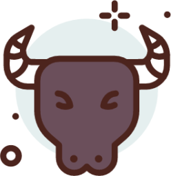 bull icon