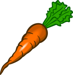 carrot icon