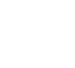 chat icon