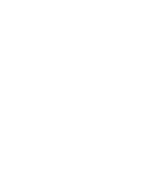 discord icon