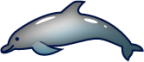 dolphin emoji