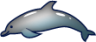 dolphin emoji