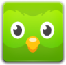 duolingo icon