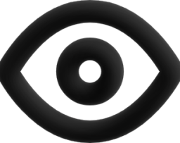 eye icon