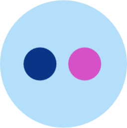 flickr icon