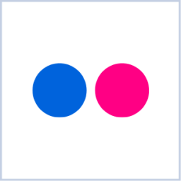 Flickr icon