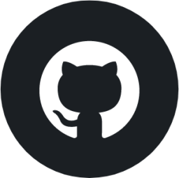 GitHub icon