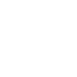 github icon