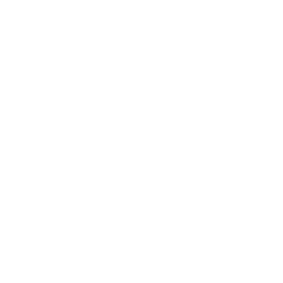 github icon