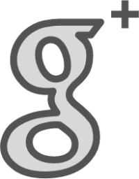 Google icon