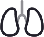 Lungs icon