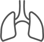 Lungs icon