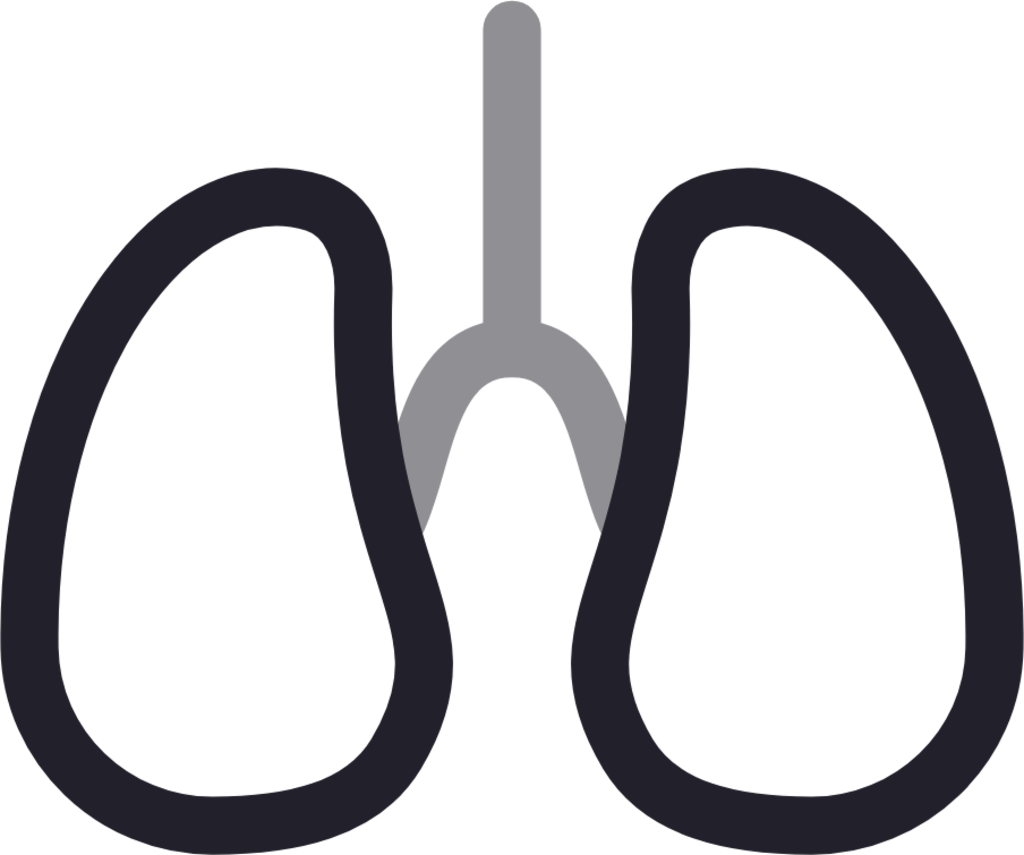 Lungs icon