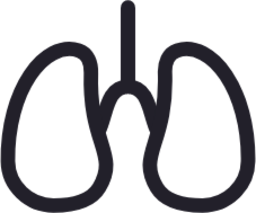 Lungs icon