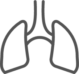 Lungs icon