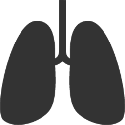 Lungs icon