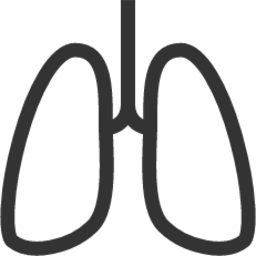 Lungs icon